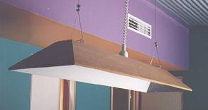 Veneer Canopy